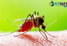 Malaria Ke Lakshan