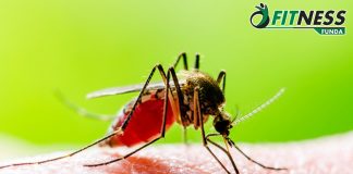 Malaria Ke Lakshan