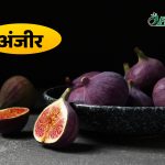 benefits of anjeer