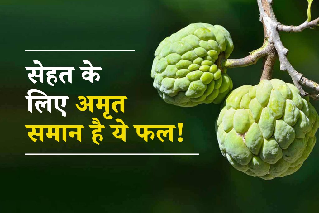 Benefits of Custard Apple: शरीफा खाने के अद्भुत फायदे जो करेंगे सेहत को मजबूत