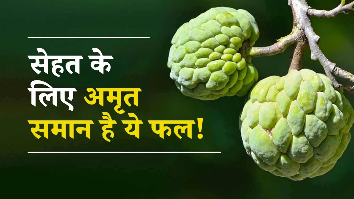 Benefits of Custard Apple: शरीफा खाने के अद्भुत फायदे जो करेंगे सेहत को मजबूत