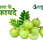 benefits of amla