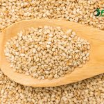 benefits of seeds