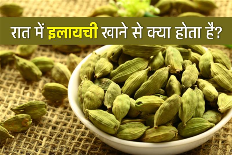 इलायची गर्म होती है या ठंडी, रात को सोने से पहले दो इलायची खाने से क्या होता है? न्यूट्रिशनिस्ट से जानिए फायदे