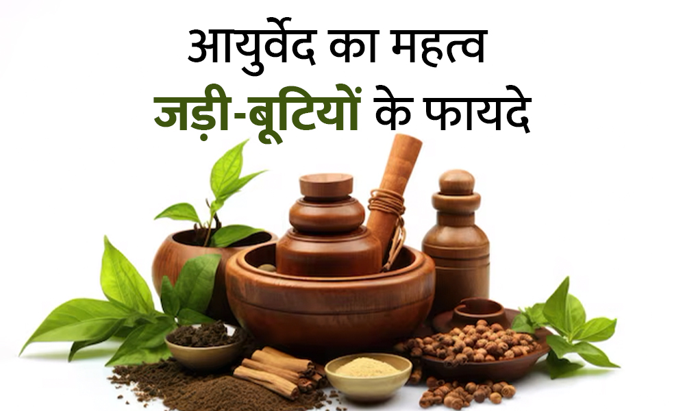 महिलाओं के स्वास्थ्य और तंदुरुस्ती के लिए सर्वश्रेष्ठ आयुर्वेदिक जड़ी-बूटियाँ